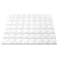 Giselle Bedding 800GSM Goose Down Feather Quilt Winter Blanket Duvet Comforter Double