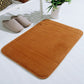 Tyidzon Soft Absorbent Bath Mat Non Slip Bathroom Rugs Quick Dry Washable Bathroom Rug for Home Bathroom Entrance Shower Floor 20 x 32 Inch Brown