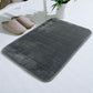 Tyidzon Soft Absorbent Bath Mat Non Slip Bathroom Rugs Quick Dry Washable Bathroom Rug for Home Bathroom Entrance Shower Floor 20 x 32 Inch Gray