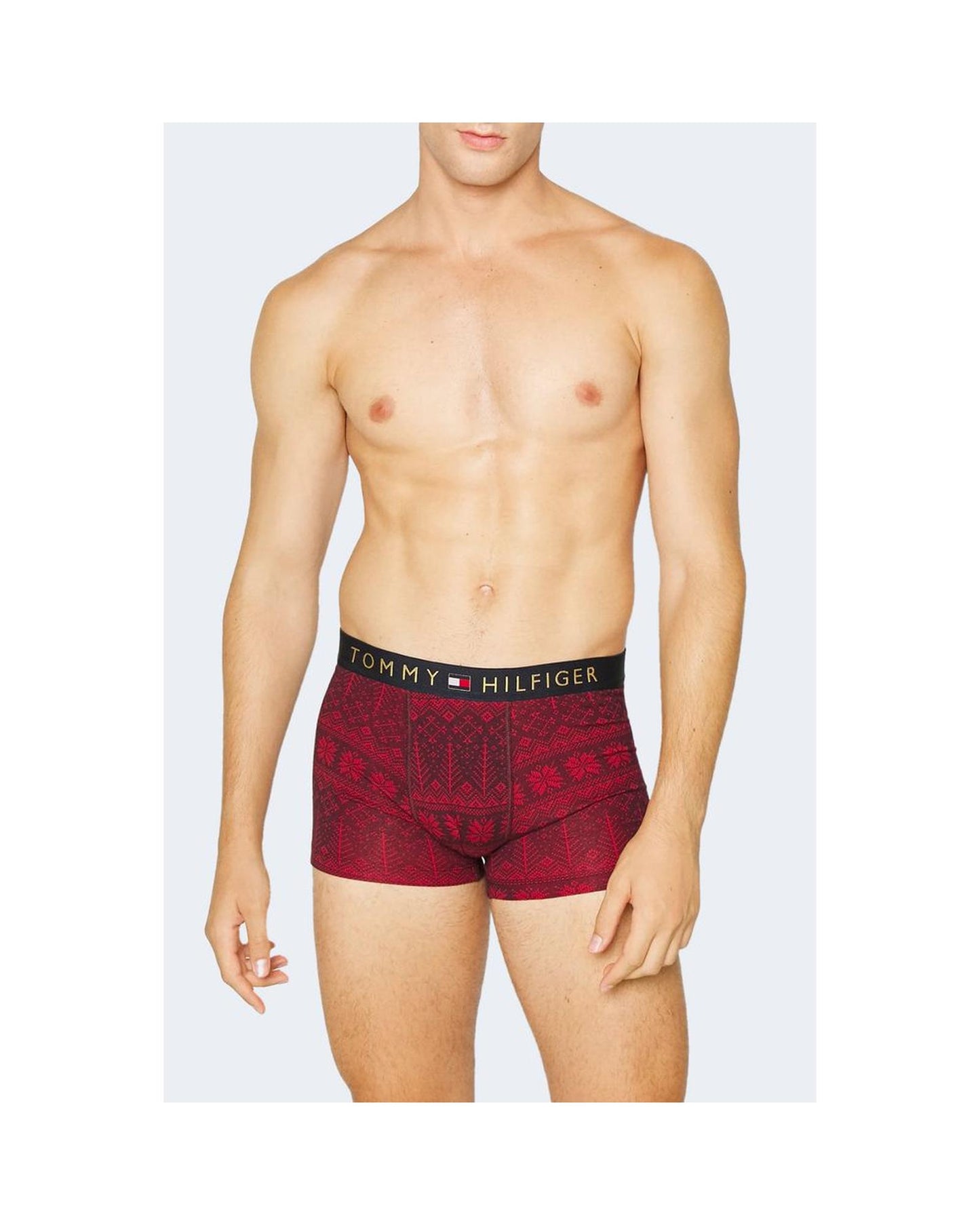 Tommy Hilfiger Men's Bordeaux Cotton Underwear - 48 IT