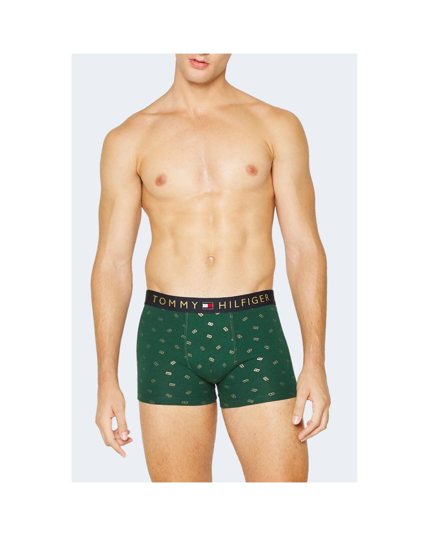 Tommy Hilfiger Men's Green Cotton Underwear - 46 IT