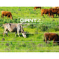 Giantz 2000M Polywire Roll Electric Fence Energiser Stainless Steel Poly Wire