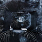 Cat Quilt Cover Set - Super King Size